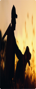 Gone Hunting (Dog)